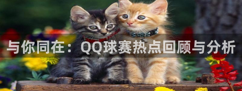 k1体育棋牌链接：与你同在：QQ球赛热点回顾与分析