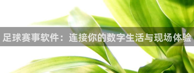 k1体育二维码：足球赛事软件：连接你的数字生活与现场体验