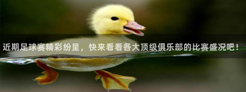  k1体育最新登录入口网页版：近期足球赛精彩纷呈，快来看看各大
