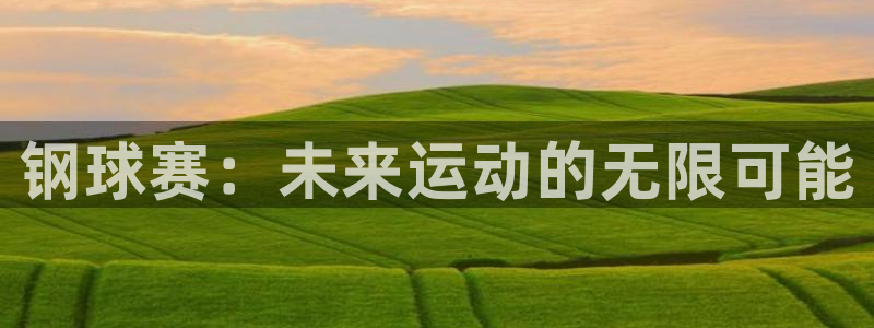  k1体育一起聊客服id：钢球赛：未来运动的无限可能
