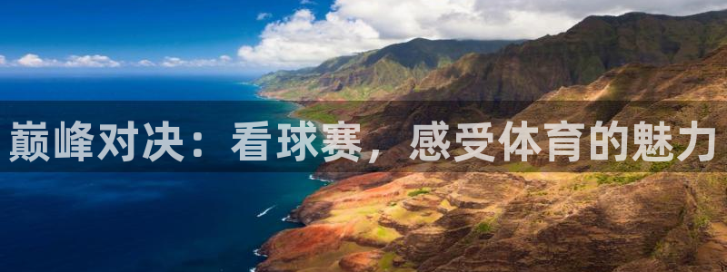 k1体育app下载官网入口手机版免费：巅峰对决：看球赛，感受