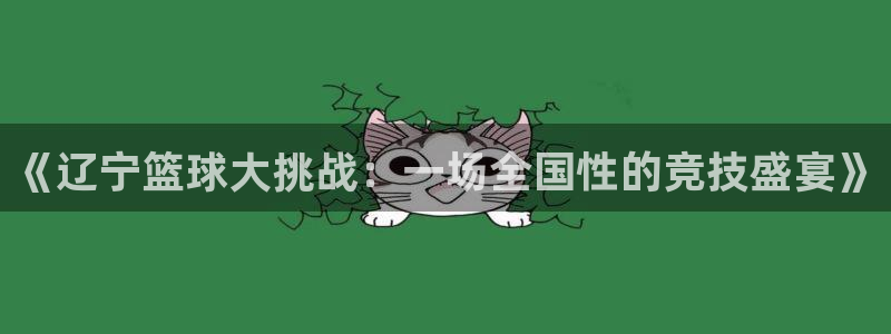  体育k12是什么意思啊：《辽宁篮球大挑战：一场全国性的竞技盛